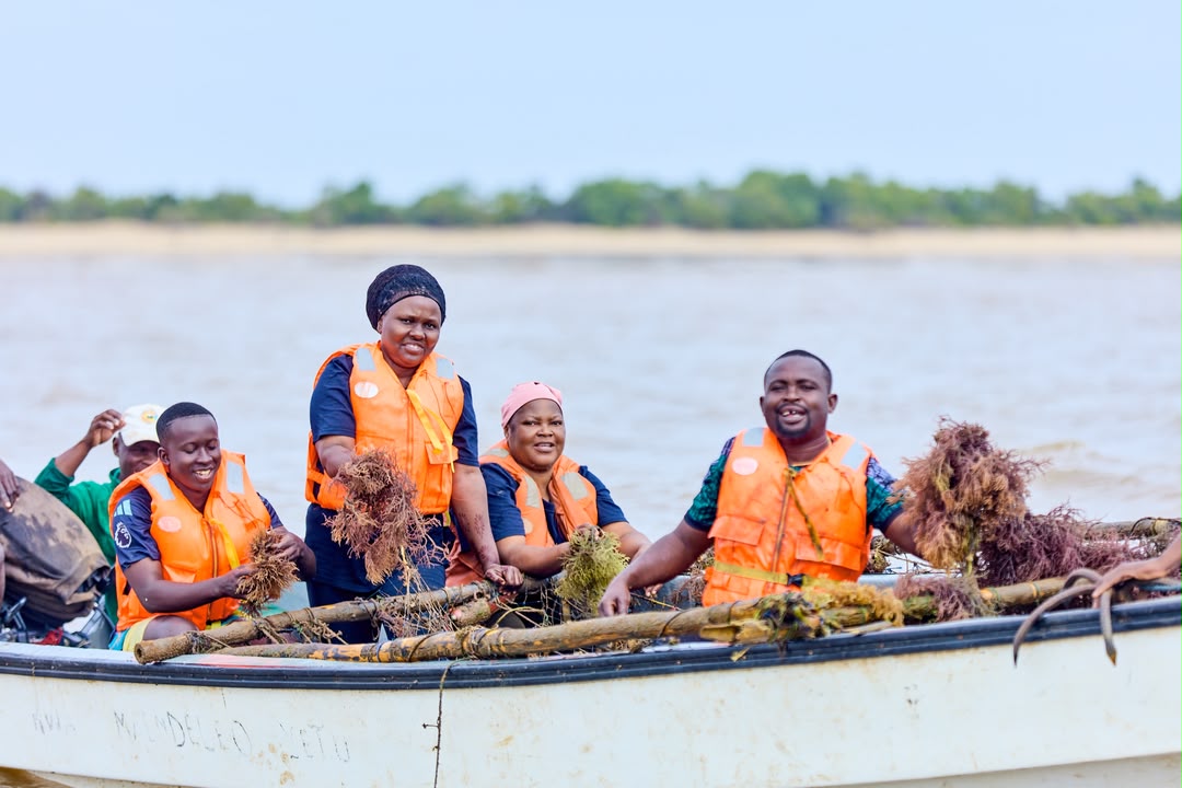 Coastal ecosystems