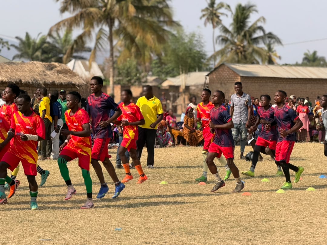 Field activities