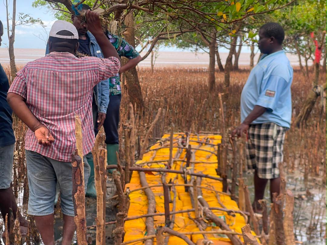From 15 Demonstration Pens to 95: How Songambele Climate-Smart Group Is Growing Its Crab-Fattening Enterprise