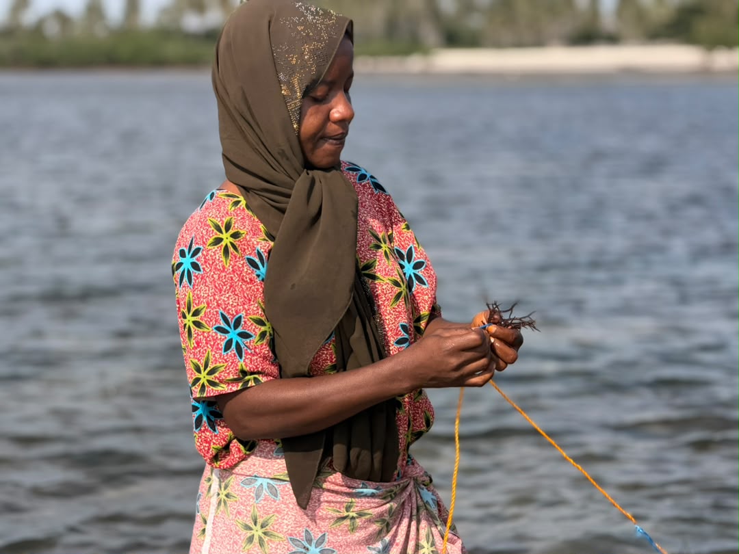 From Livelihoods to Conservation: Empowering Youth and Women in Coastal Communities